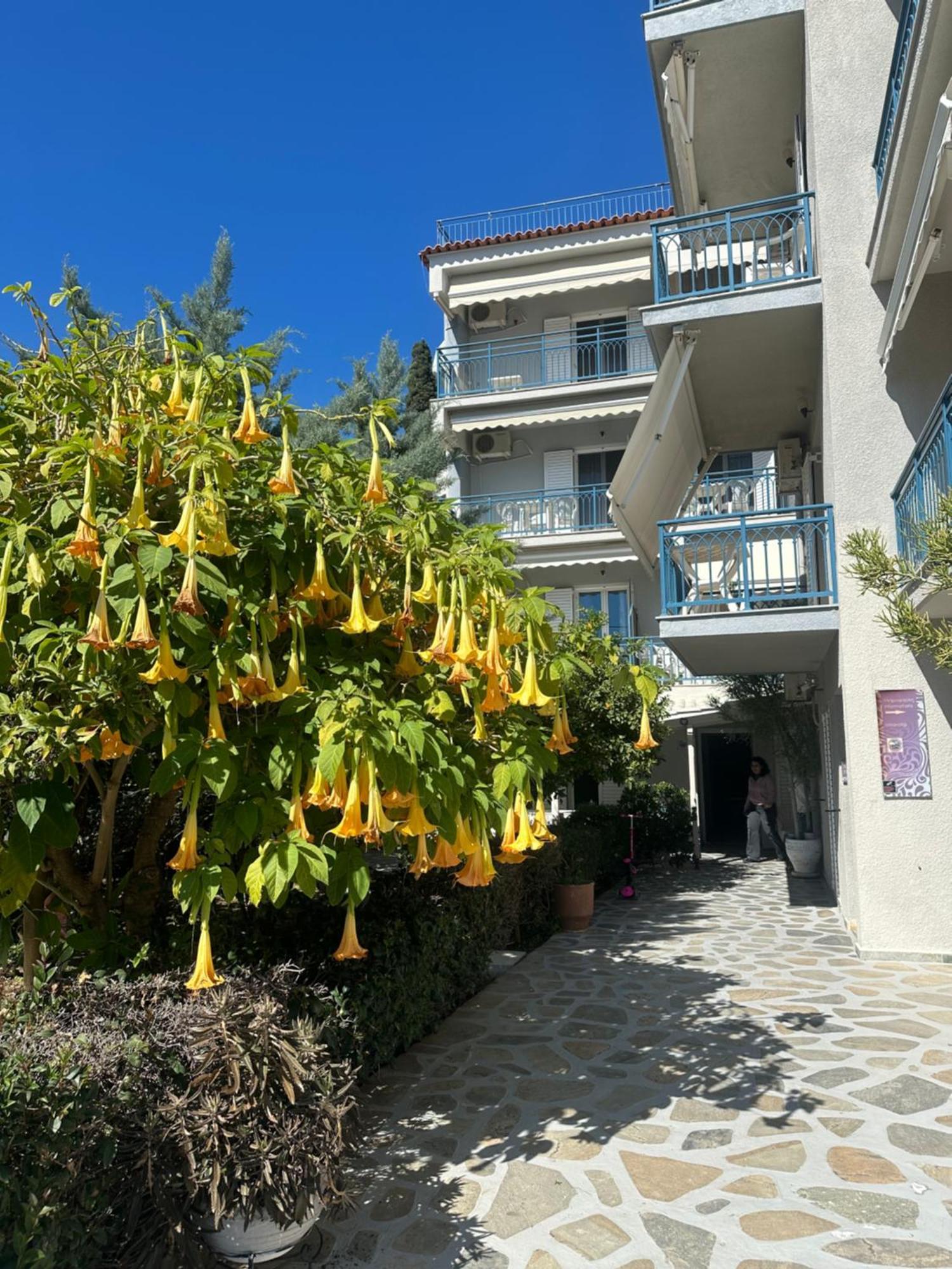 Drossinos Studios Poros Town Buitenkant foto