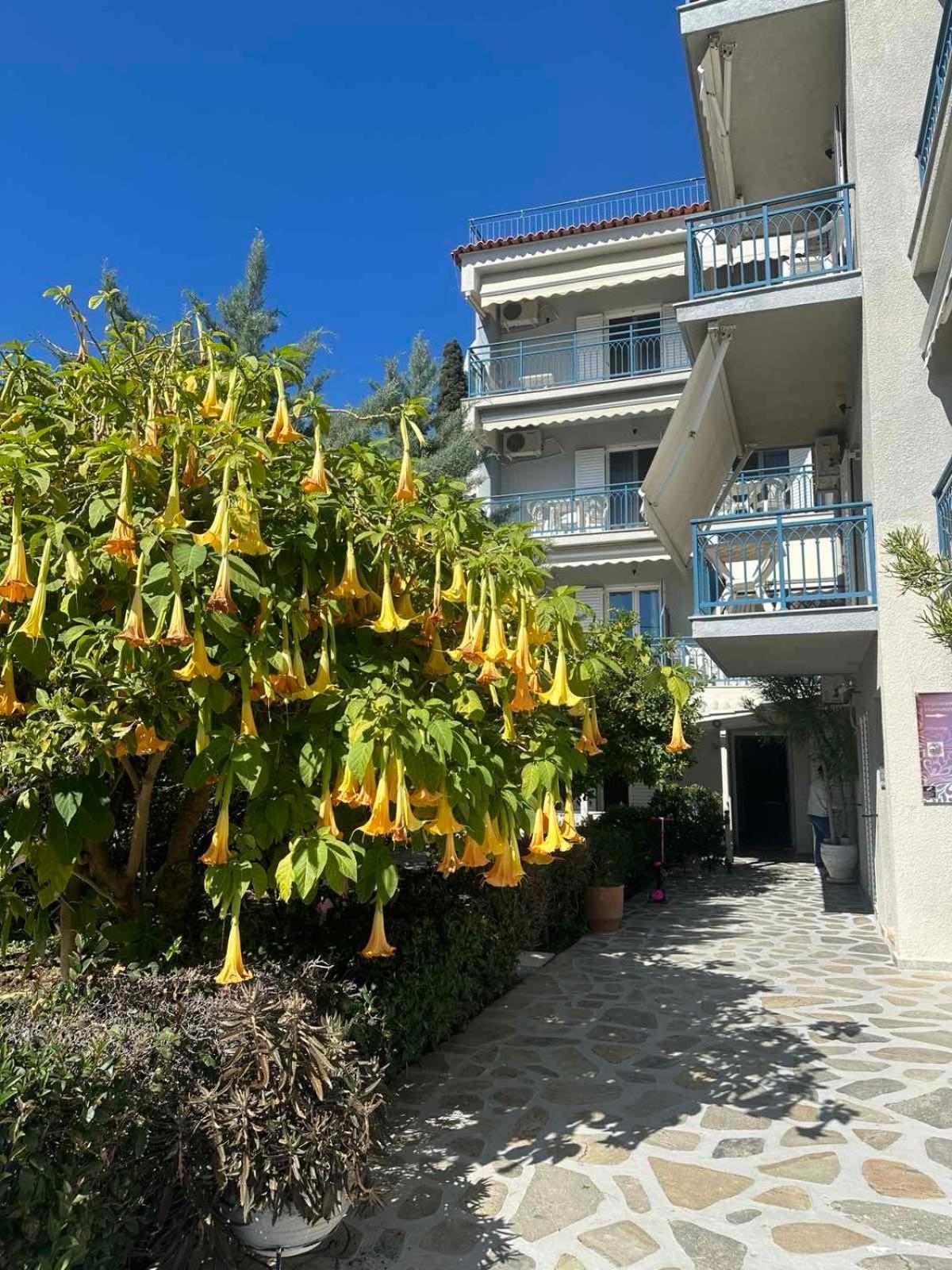 Drossinos Studios Poros Town Buitenkant foto